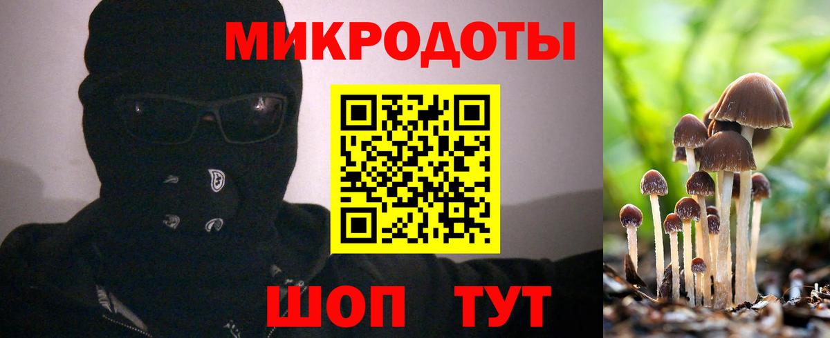 Галлюциногенные грибы MAGIC MUSHROOMS Петропавловск-Камчатский